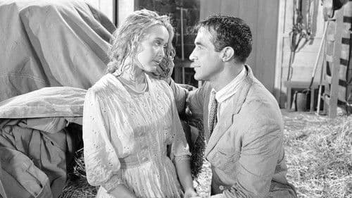 Einmal eine Dame sein Bild 5