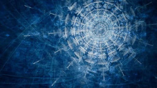 Ayahuasca: Kosmik Journey Bild 1