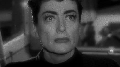 Das Haus am Strand Bild 2