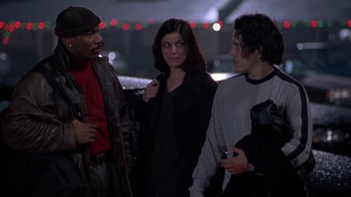 Body Count - Flucht nach Miami Bild 6