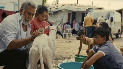 Ciudad sin sueño Bild 1