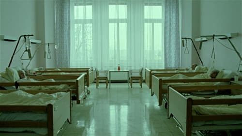 Import/Export Bild 4