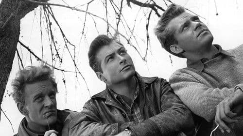 Die Farmerstochter Bild 4