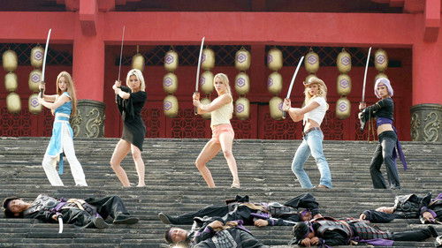 DOA - Dead or Alive Bild 5