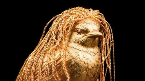 שם טוב האבי 2 Bild 4