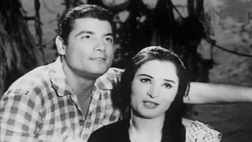 اللص والكلاب Bild 2