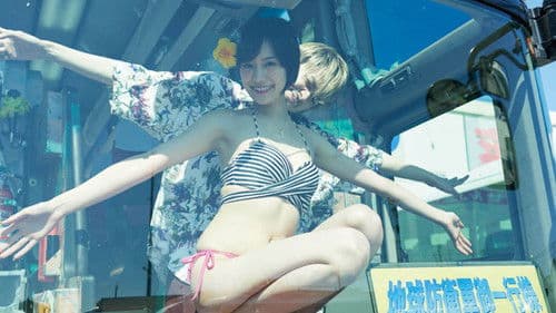 チワワちゃん Bild 7