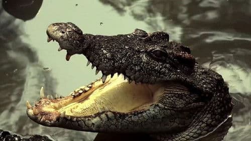 Jurassic Island - Primeval Empire Bild 2