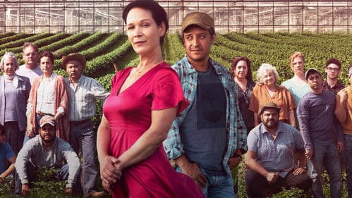 Le temps des framboises Bild 2