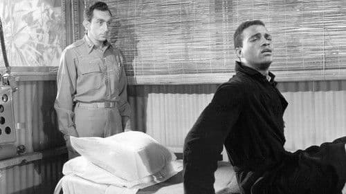 Home of the Brave Bild 1