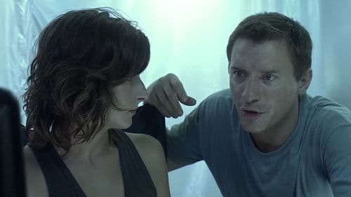 Killerameisen Bild 2