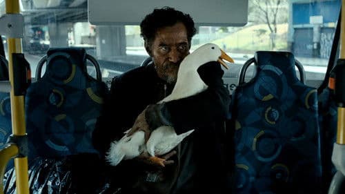 Words with Gods Bild 1