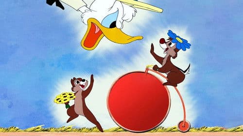 Verrückt nach Daisy Bild 2