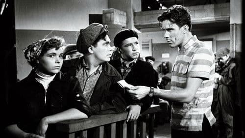 Vihmas ja päikeses Bild 1