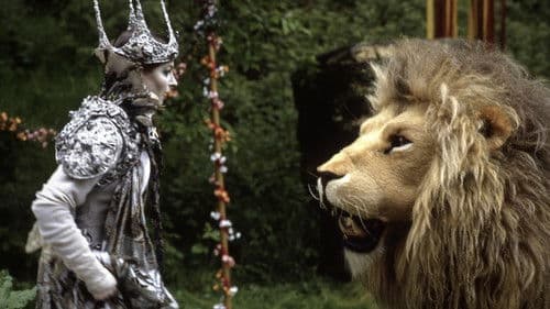 Der König von Narnia Bild 2