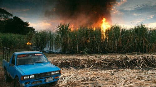 This Changes Everything Bild 1