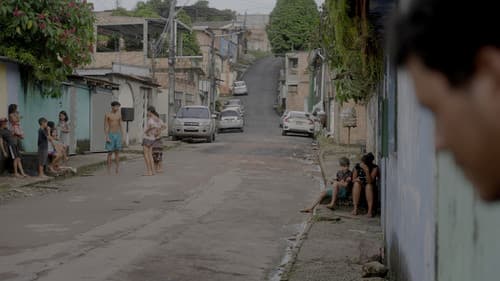 Teatro Amazonas – Musik im Regenwald Bild 3