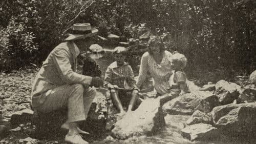 Miss Petticoats Bild 1