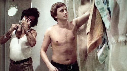 Die Taube auf dem Dach Bild 4