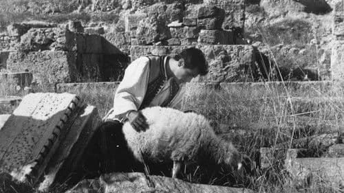 Es geschah in Athen Bild 7