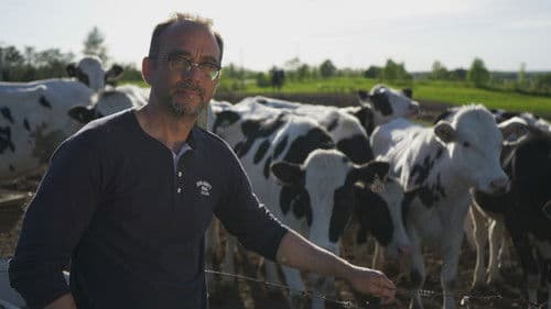 La détresse au bout du rang Bild 1