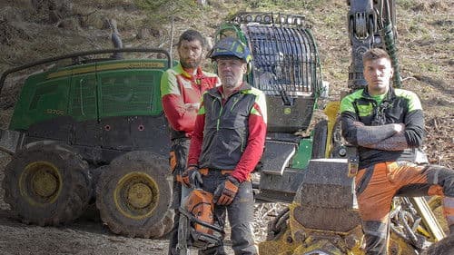 Undercut: l'oro di legno Bild 1