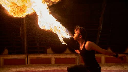 Vilken jävla cirkus Bild 4