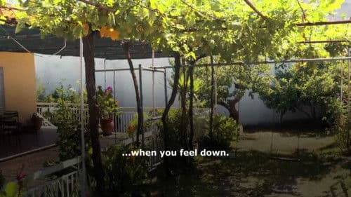 Voicemails From Strangers Bild 1