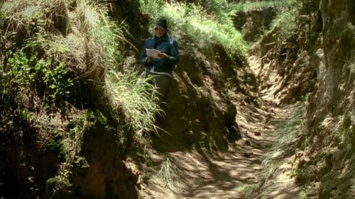 Sin título (Carta para Serra) Bild 3