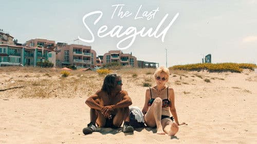 The Last Seagull Bild 1