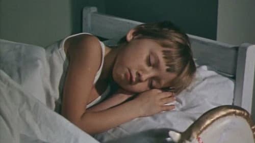 Как мы искали Тишку Bild 1