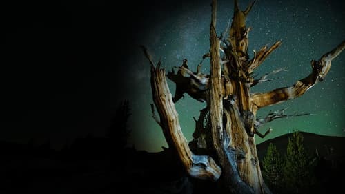 Planet California Bild 2