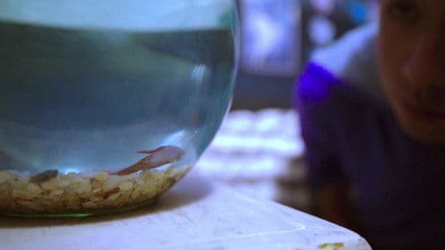 Reflejos del Cielo Bild 3