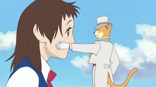 Das Königreich der Katzen Bild 6