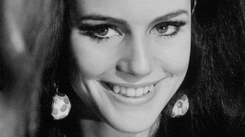 Paraphernalia Bild 1