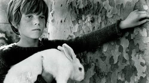 Ein Sommer in Frankreich Bild 1