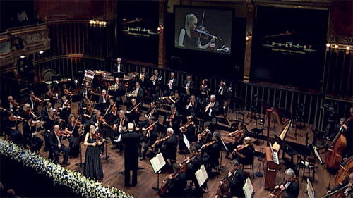 Hegedűország.hu Bild 1