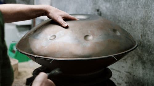 Spira Mirabilis Bild 2