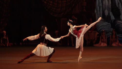 Bolshoi Ballet: Le Corsaire Bild 2