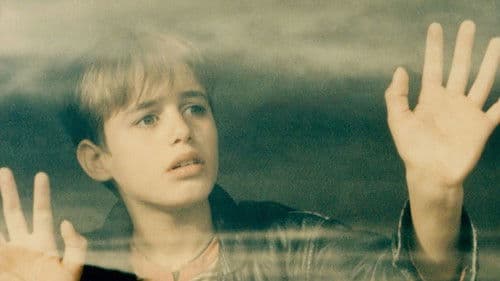 بید و باد Bild 1