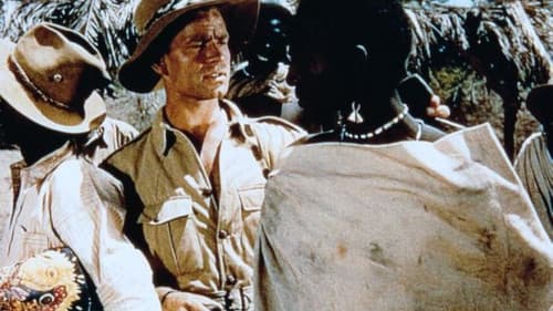 Schwarzes Elfenbein Bild 1