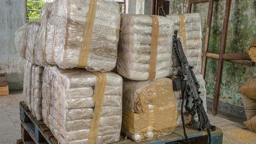 Narco Wars: Queenpins Bild 3