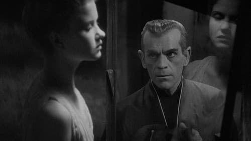 Die schwarze Katze Bild 7