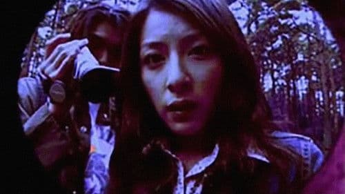 St. Johns Wort Bild 2