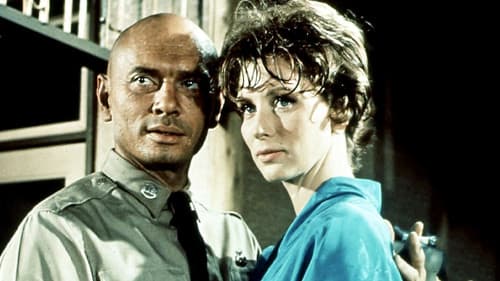 Wir warten in Ashiya Bild 2