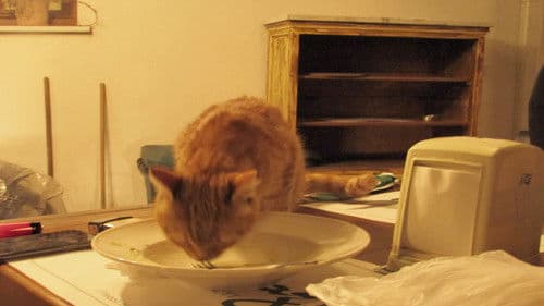 Kayadan Seken Kurşun Bild 3