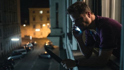 Animals - Stadt Land Tier Bild 3