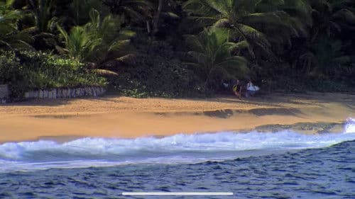 Psychic Migrations Bild 3