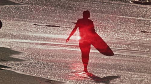 Morning of the Earth Bild 1