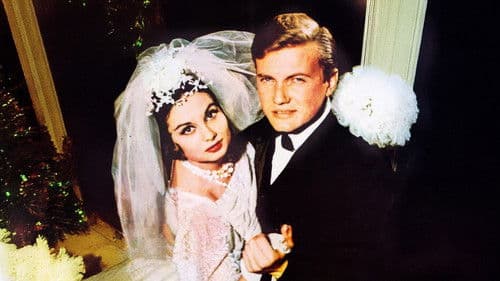 Bülbül Yuvası Bild 1